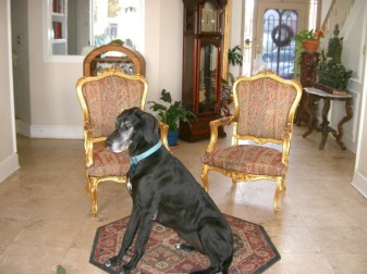 Photo_Video_641311cf-4412-4b20-bb65-17d9b316f163_medium