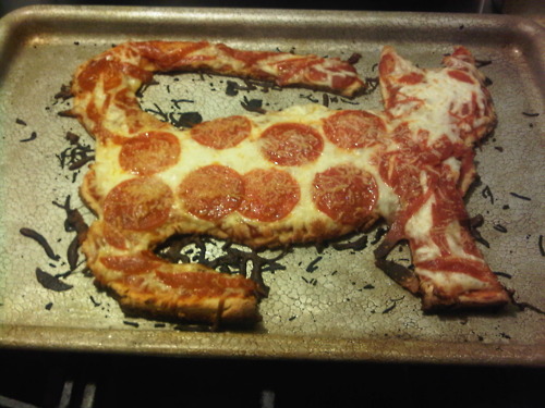 tumblr_lyy0xgx1N61qzw4xvo1_500